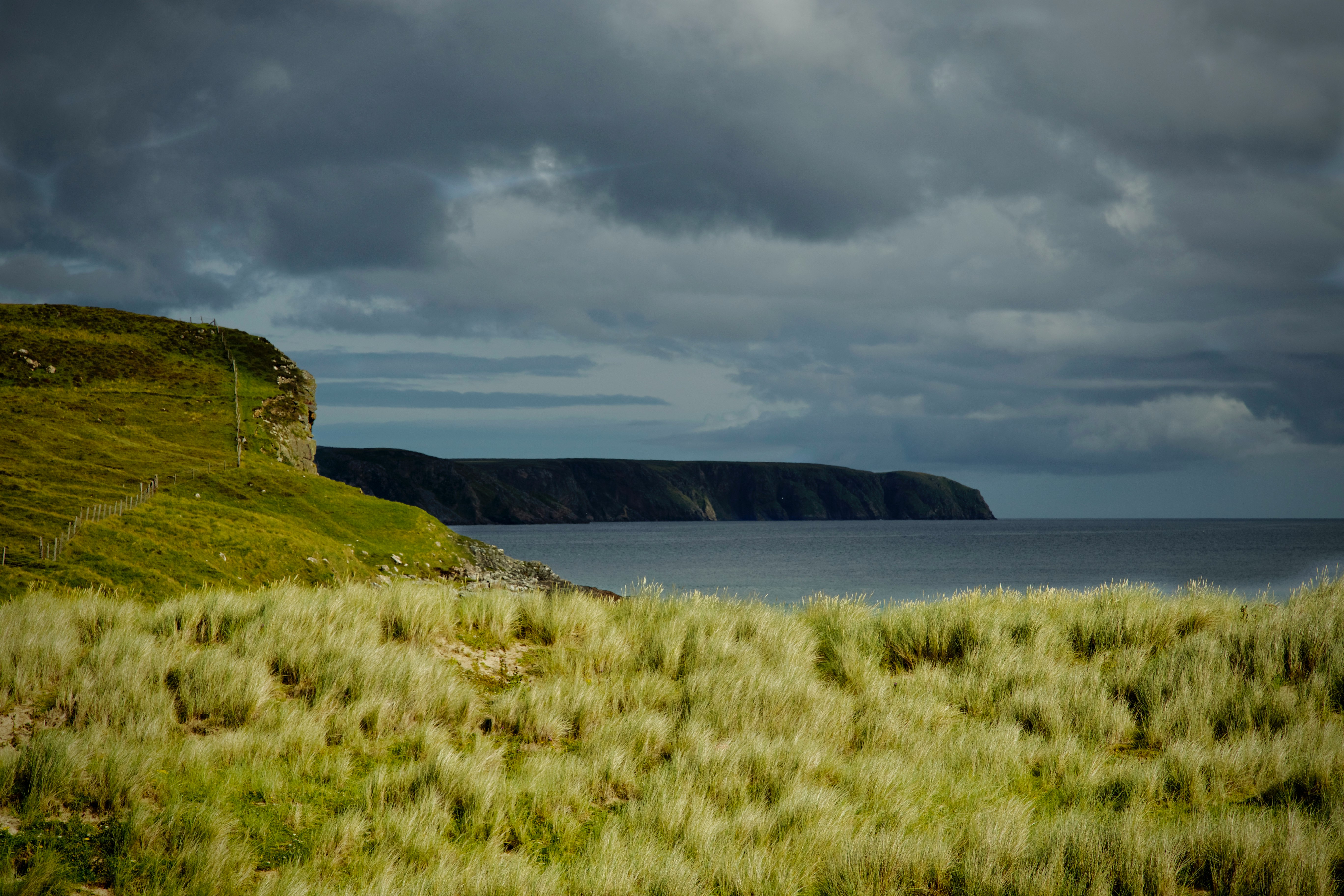 green grass field near body of water under cloudy sky during daytime